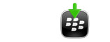 img_bb_files